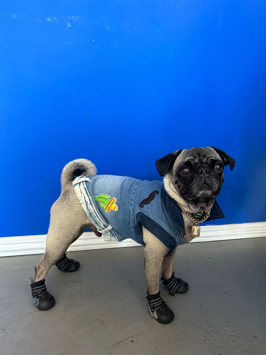 Denim Dog Vest