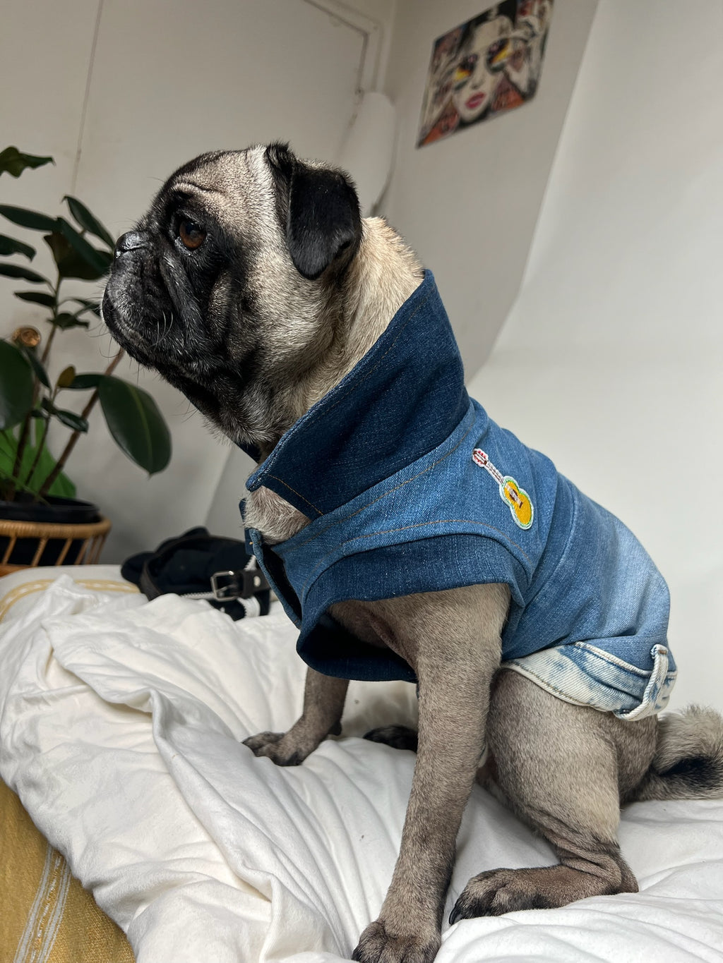 Denim Dog Vest