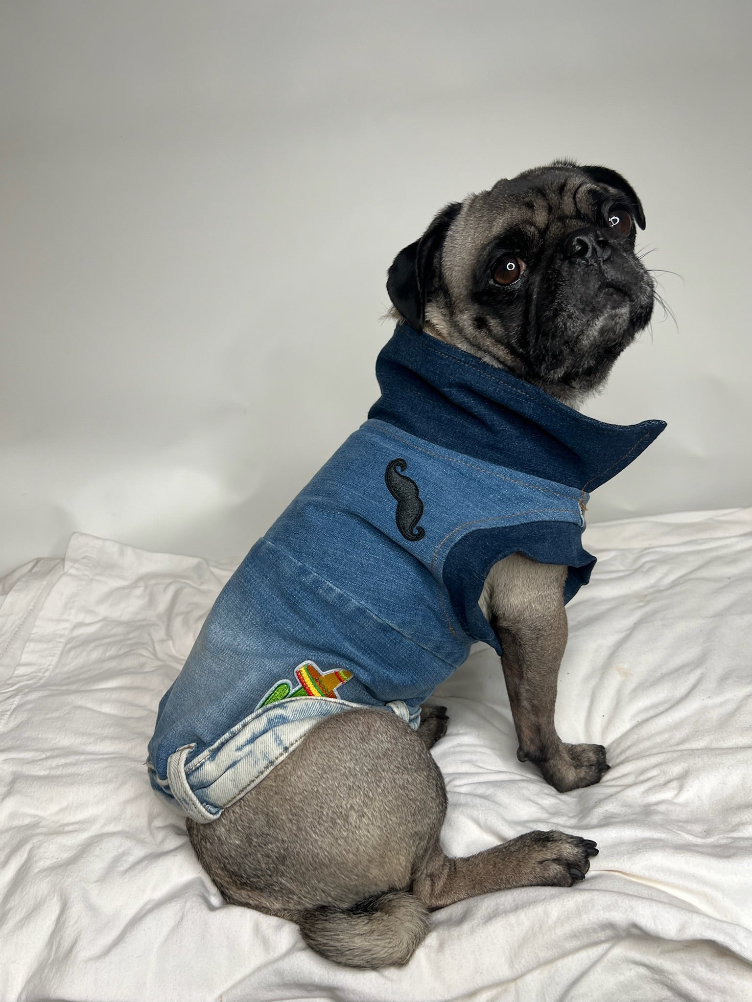 Denim Dog Vest