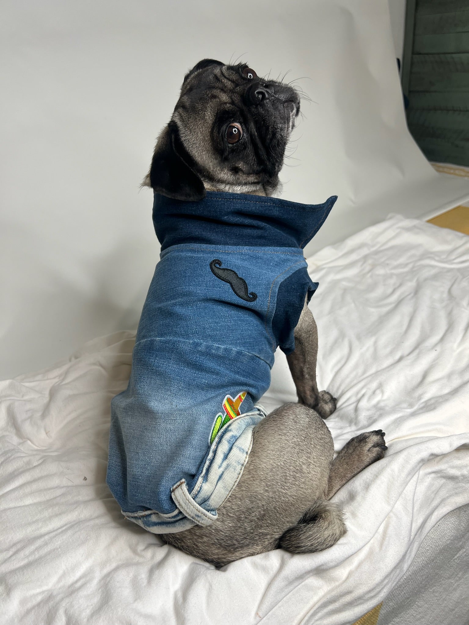 Denim Dog Vest