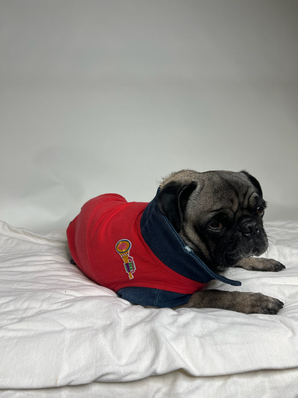 Denim Dog Vest
